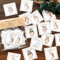 謝謝印章“貓頭鷹”【35張貓頭鷹貼紙】 第2張的照片