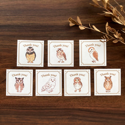 謝謝印章“貓頭鷹”【35張貓頭鷹貼紙】 第3張的照片