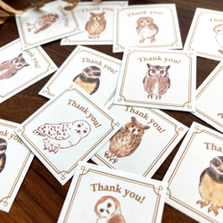 謝謝印章“貓頭鷹”【35張貓頭鷹貼紙】 第4張的照片