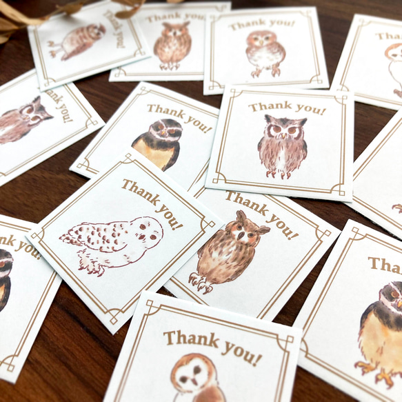 謝謝印章“貓頭鷹”【35張貓頭鷹貼紙】 第4張的照片