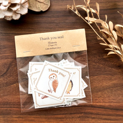 謝謝印章“貓頭鷹”【35張貓頭鷹貼紙】 第5張的照片