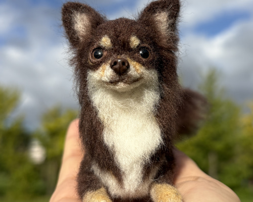 ちびもか 羊毛フェルト 犬 チワワちゃん いちごちゃん (о´∀`о) 骨格もずっしりむちむちチワワちゃん