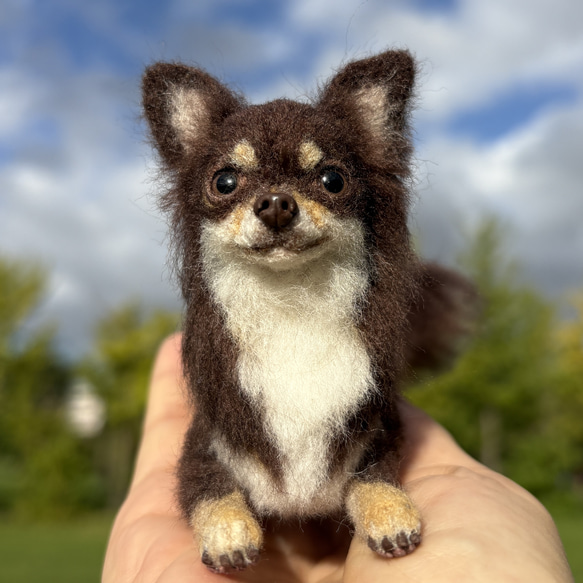 僕が一番✨️】チワワ【鼻先からお尻まで11cm】 羊毛フェルト 僕が一番✨️】チワワ【鼻先からお尻まで11cm】 羊毛フェルト