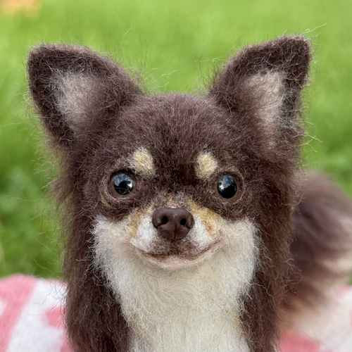僕が一番✨️】チワワ【鼻先からお尻まで11cm】 羊毛フェルト