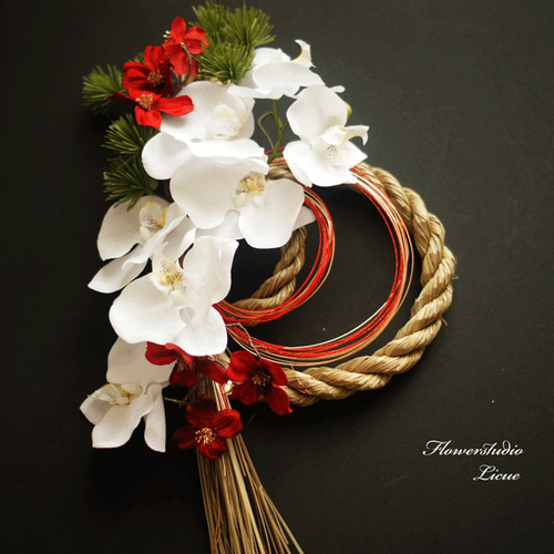 しめ縄リース　胡蝶蘭 しめ縄】胡蝶蘭と赤のハナミズキのお正月飾り（М） しめ縄・しめ飾り