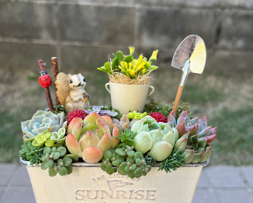 ☆ラスト1点☆送料無料☆♡そのまま飾れる♡リスちゃんのガーデン