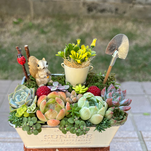 ☆ラスト1点☆送料無料☆♡そのまま飾れる♡リスちゃんのガーデン