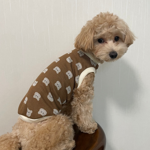 犬服！くまさんだらけタンク！全2色⭐︎XS.S.M.DXS.DS.DM ペット服 