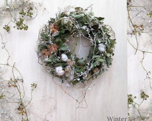 匿名配送　フレッシュユーカリとオリーブのリース　ドライフラワー　涼しげ Winter＊ユーカリ＆コットン ドライフラワーリース リース fu.wa