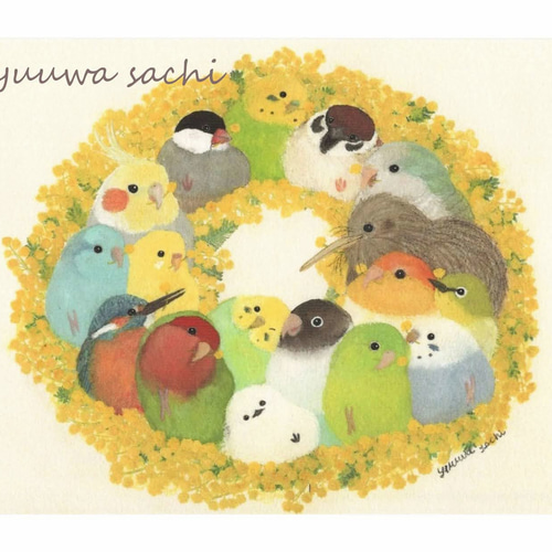 ポストカード3枚→A4サイズ1枚へ変更可能 『ミモザリース』 メッセージ