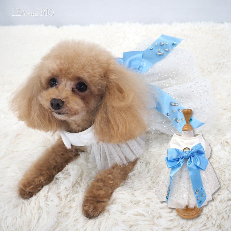 ハーネス 胴輪 洋服みたいなハーネス リボン 引っ張り防止 散歩 お出掛け 犬 猫 ペット P787