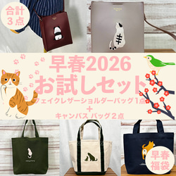現品限り】【送料無料】驚き猫のワンポイント刺繍 キャンバス内