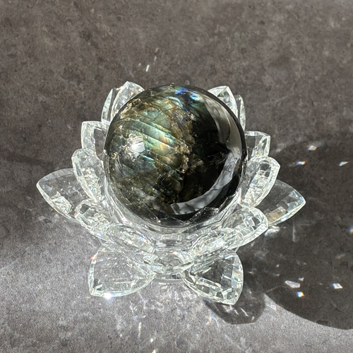 スワロフスキー 水蓮 キャンドルホルダー (M) 廃盤品 希少 箱