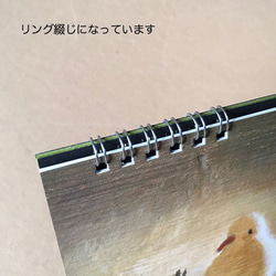 カレンダー2025(ヘビ年)卓上式 6枚目の画像