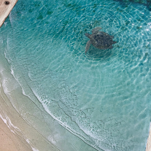 N144 ☆超立体 沖縄の海 レジンアートボード 美ら海 オーシャン