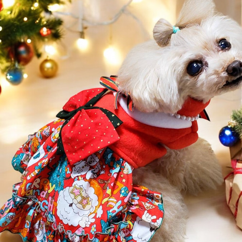 おしゃれさんワンピース ∞TuTu∞ クリスマス 犬服 ハンドメイド