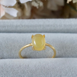 d4c127f352574b7b4d841663b841c5