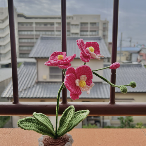 胡蝶蘭 植木鉢 編みぐるみ その他置物 青空 通販 18391914｜Creema