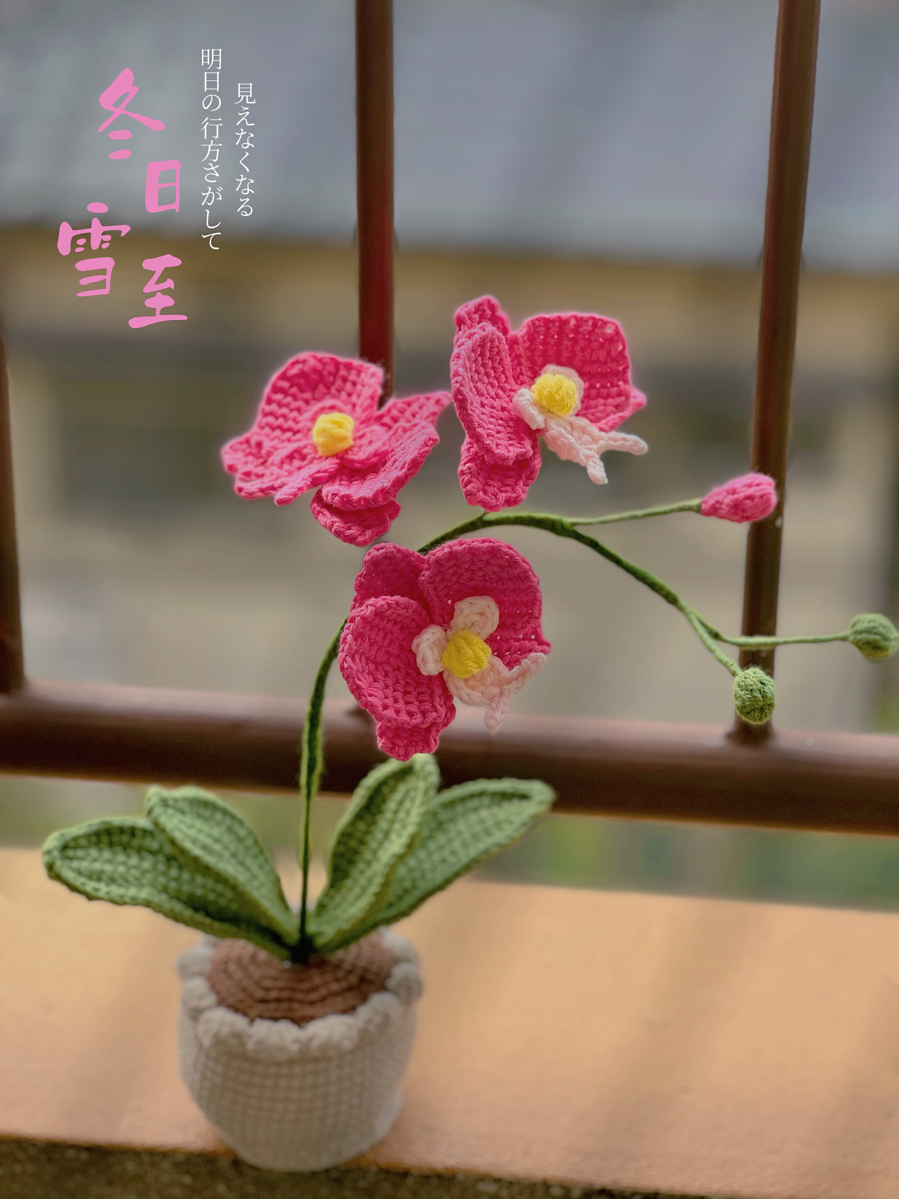 オーダー品　胡蝶蘭の鉢植え　あみぐるみ　レース糸 胡蝶蘭 植木鉢 編みぐるみ その他置物 青空 通販 18391914｜Creema