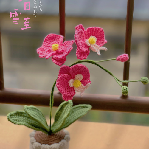 胡蝶蘭 植木鉢 編みぐるみ その他置物 青空 通販 18391914｜Creema