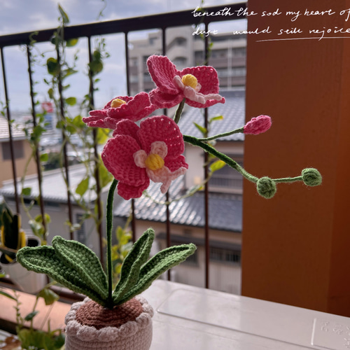 Na専用ページ ハンドメイド 【編みぐるみ　お花・植物】 かぎ針編み🧶編み図】リバーシブルフラワー＆ベル（美女と野獣