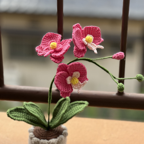 胡蝶蘭 植木鉢 編みぐるみ その他置物 青空 通販 18391914｜Creema