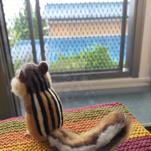 羊毛フェルト ふっくら顔のシマリス 羊毛フェルト musa 通販