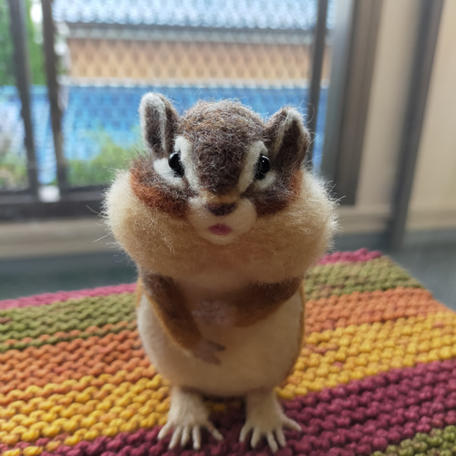 羊毛フェルト リス シマリス りすフィギュア | iichi 日々の
