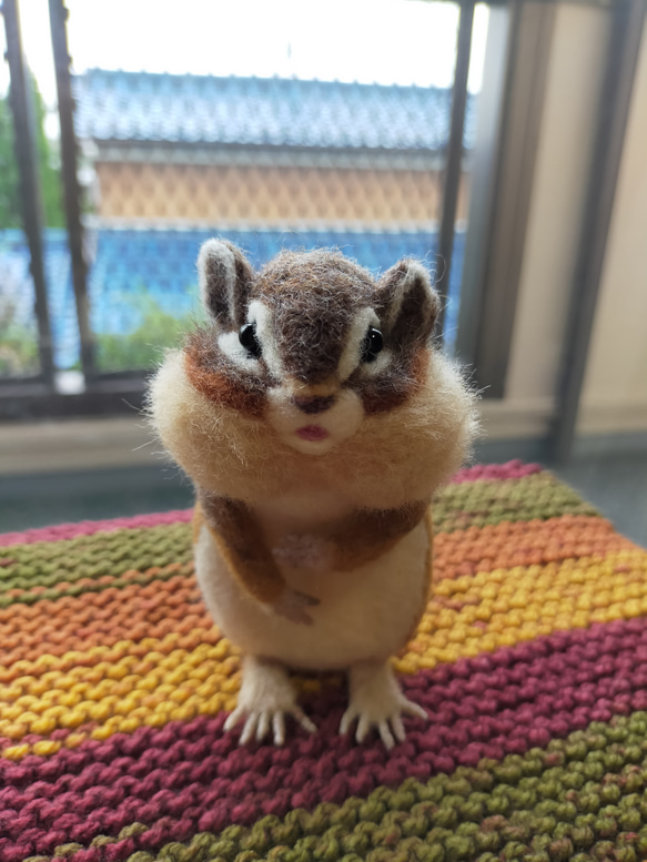国内外の人気集結！ 羊毛フェルト ふっくら顔のシマリス 通販 musa 羊毛フェルト 羊毛フェルト