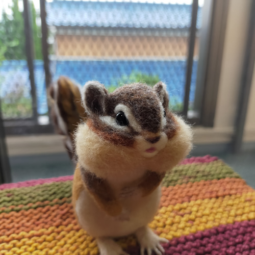 羊毛フェルト ふっくら顔のシマリス 羊毛フェルト musa 通販 18391989