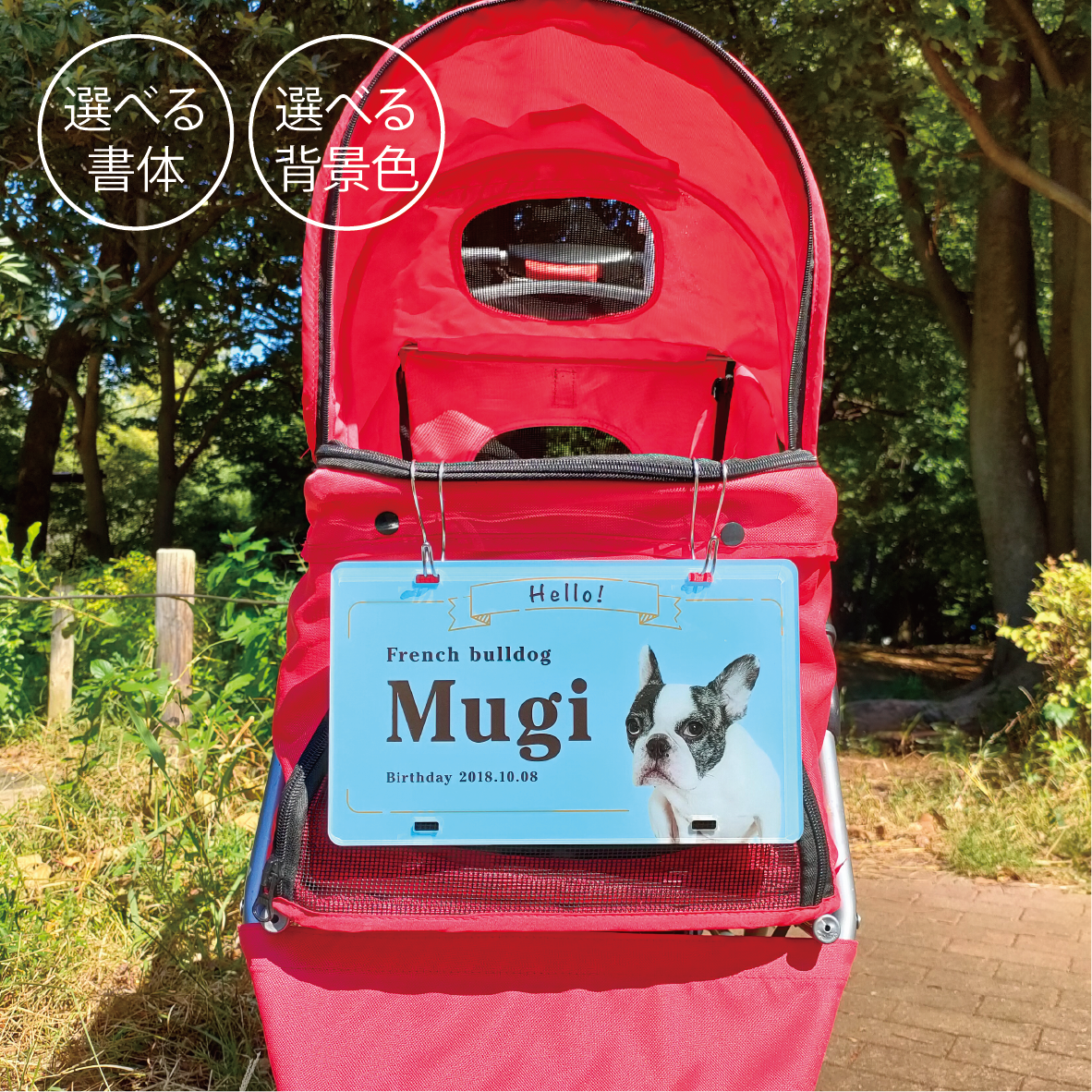 うちの子　写真入り　ペットカートのネームプレート　犬　ドッグ　バギー　ペット 名入れ　名前 送料込