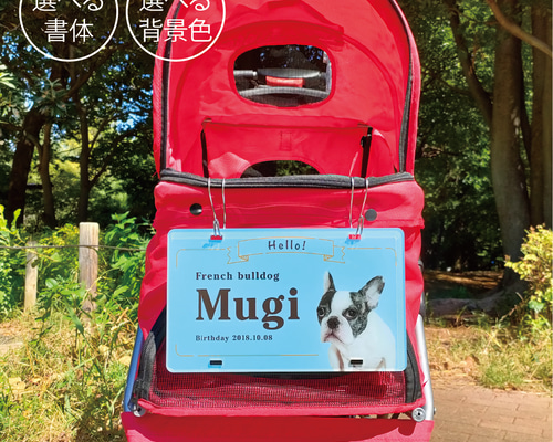 60b7dccd6c81693efc1b580459f6d4