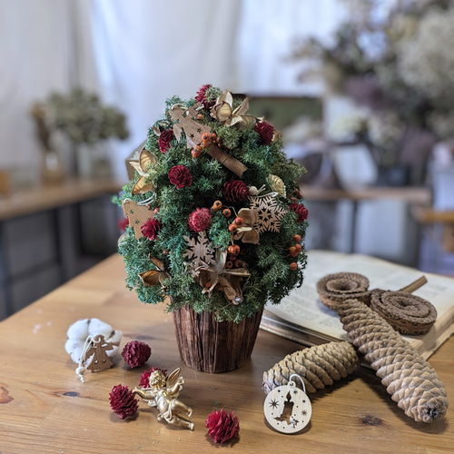 早割フレッシュクリスマス2024Xmastree 森の中からドライフラワー