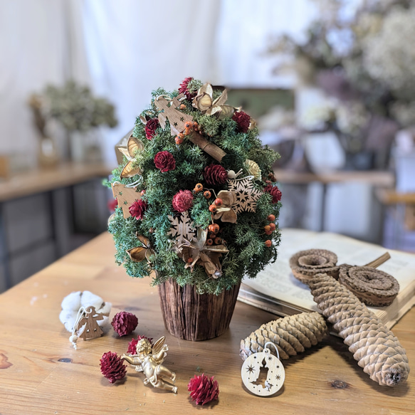 ドライフラワースワッグ（中）クリスマス