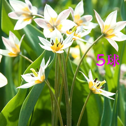 15b3ef12fd19a7160bf6e18e712cff