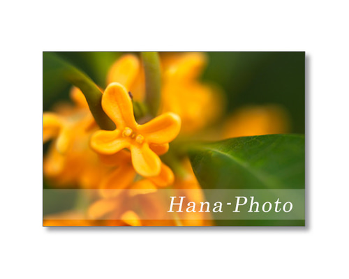 cffbc8af91ab1b1cce095a45e75d2d