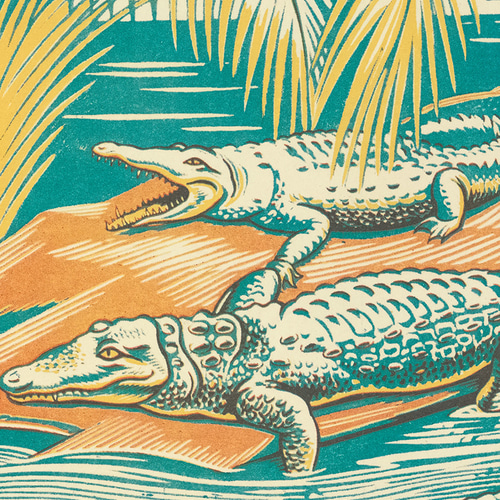 ワニイラストアートポスター☆鰐アフリカサファリ動物園レトロポップ