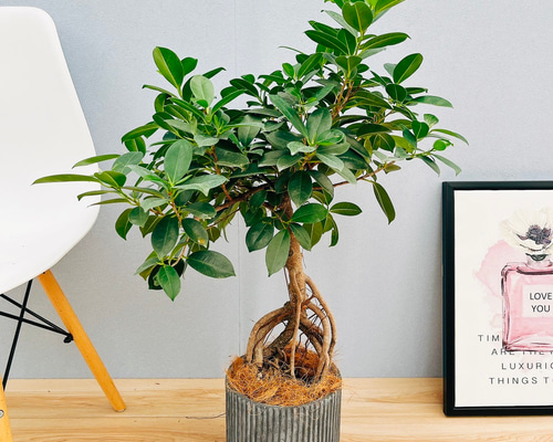 8e064295cffd89a95dfe94add024b9