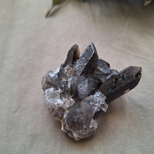 モリオン ミニクラスター セット ① その他インテリア雑貨 Clear 通販