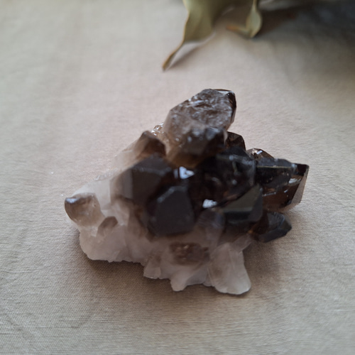 モリオン ミニクラスター セット ① その他インテリア雑貨 Clear 通販