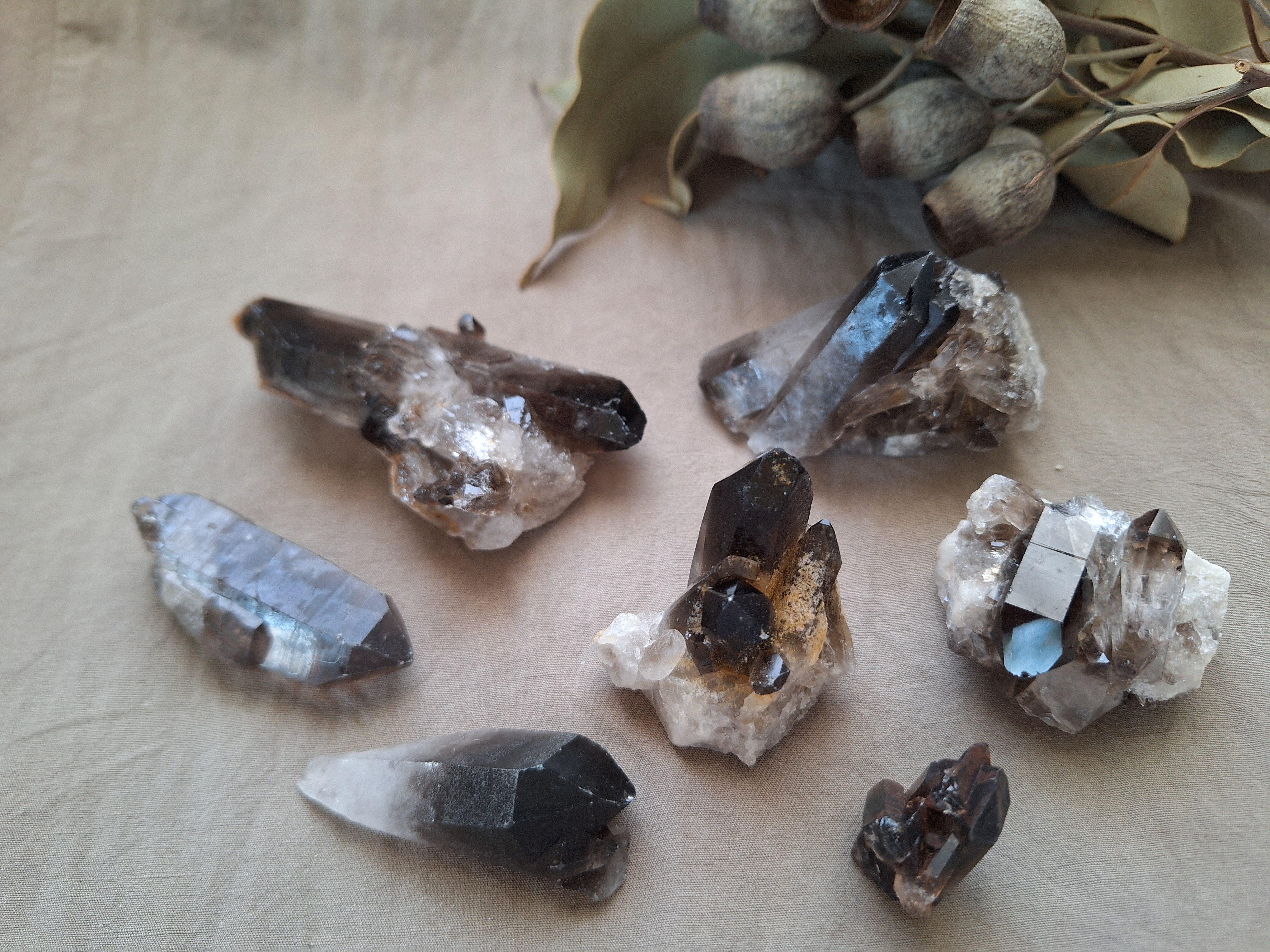 モリオン （黒水晶）ミニクラスター セット ② その他インテリア雑貨