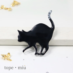 [ 帯留め × 黒猫 ] no.7 1枚目の画像