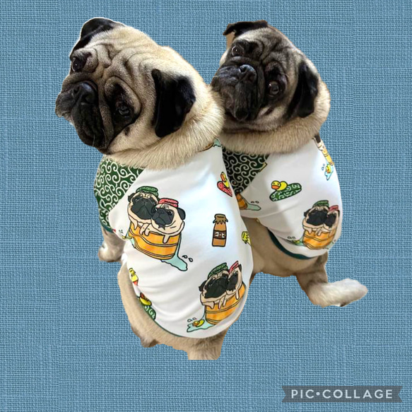 ●犬服●ハンドメイド 胴49 NO.504 フレブル パグ ○犬服○ハンドメイド 胴49 NO.504 フレブル パグ