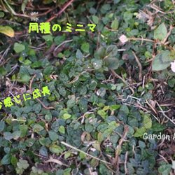  第12張的照片