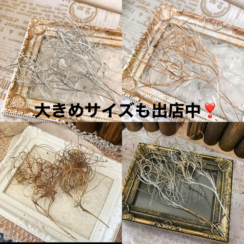 小さなくるくるゴアナクローアレンジ加工ゴールド❣️ハンドメイド花材 