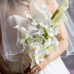 3ca9afee39c81921771ee00fa6af4e