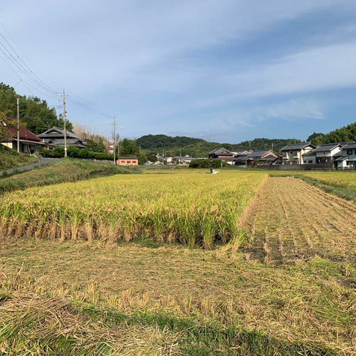 無農薬新米 農家直送の美味しいお米 10kg 奈良県生駒市 ひの