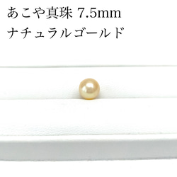 華やか あこや真珠 ゴールド 無穴 7.5mm ナチュラルカラー 素材 パール