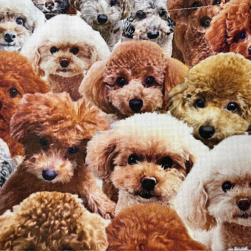 かわいい♡トイプードルちゃん巾着バッグ