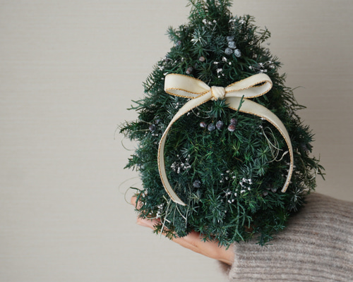 0199371cf3a28b57a01549f7d14192